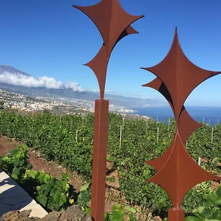Angelus Syrah With Amazing Views Apartment *