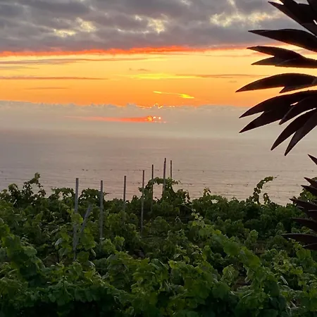 Angelus Syrah With Amazing Views Apartment