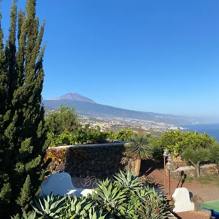 Angelus Syrah With Amazing Views