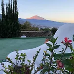 Angelus Syrah With Amazing Views La Matanza de Acentejo
