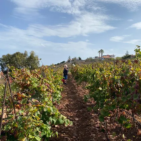 Apartment Finca Angelus Syrah With Amazing Views *